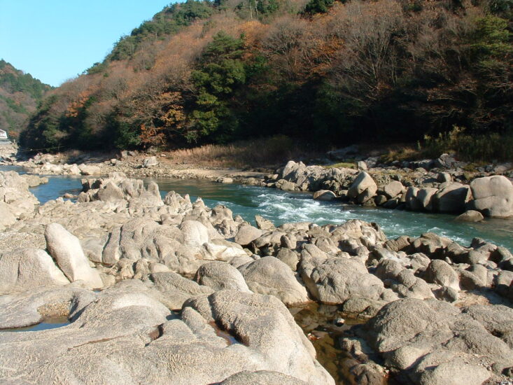 街からすぐの大自然♪いろいろな表情が楽しめる川【瀬田川①】