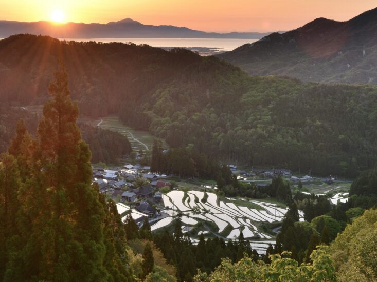 滋賀の水と生態系を守る絶景【高島市・畑の棚田】