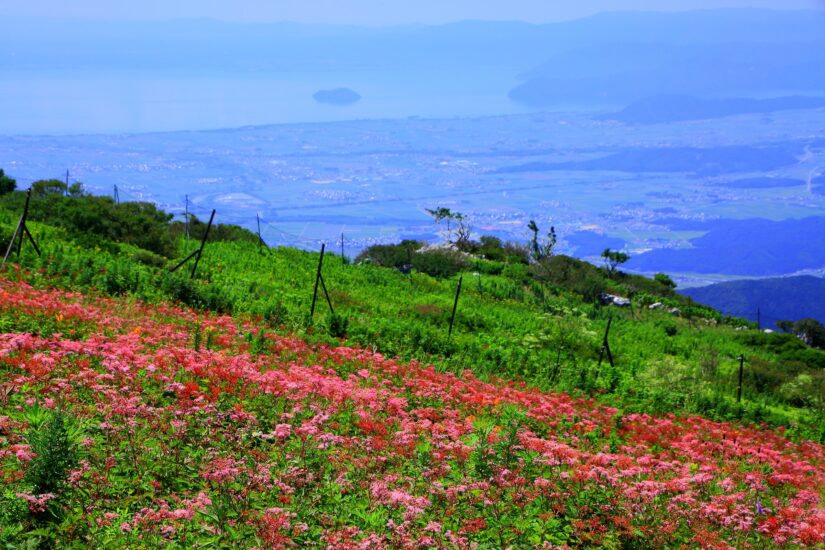 琵琶湖一望！夏休みは伊吹山でお手軽登山♪