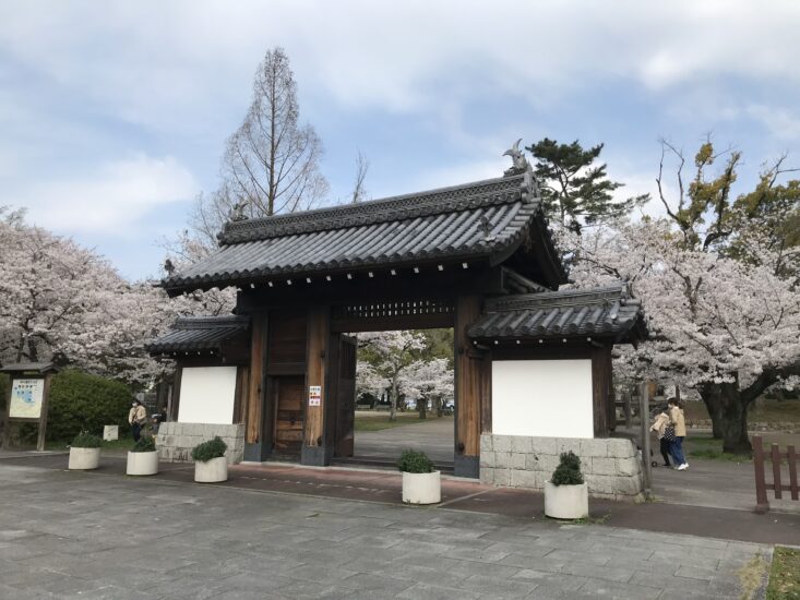 歴史を感じる桜の名所【膳所城跡公園】