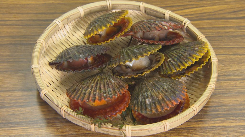 珍しい アッパ貝 を堪能できるオリジナルメニュー発売 海と日本project In 滋賀県