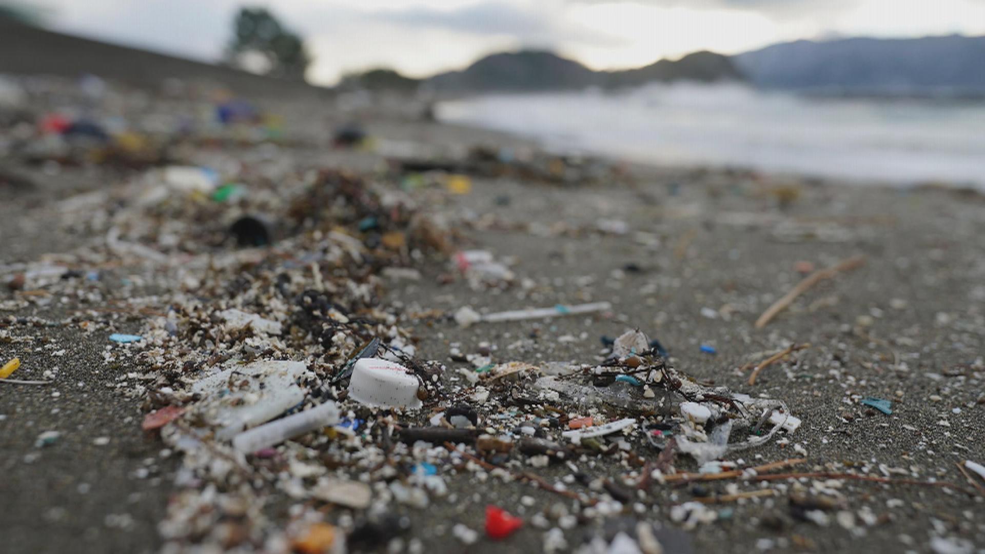 琵琶湖のマイクロプラスチックに意外な原因 海と日本project In 滋賀県