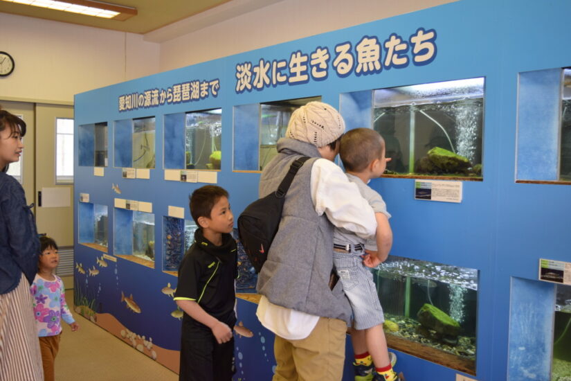 【しがライターReport】森の中の水族館＆川魚・湖魚グルメ『道の駅 奥永源寺渓流の里』