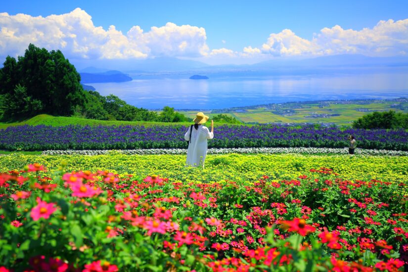 琵琶湖一望！天空の絶景お花畑【びわこ箱館山】