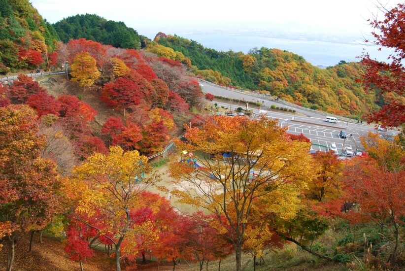 琵琶湖と紅葉のコントラスト【比叡山ドライブウェイ】