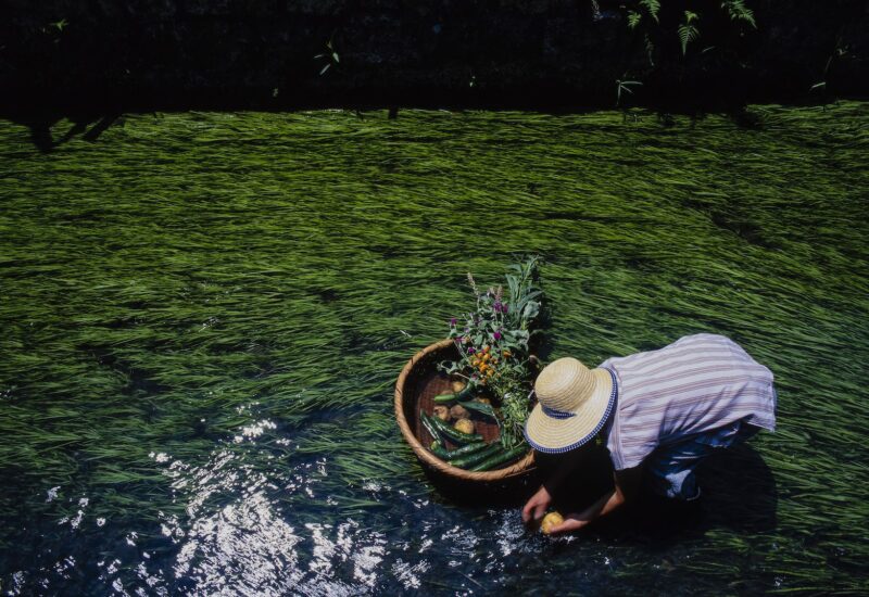 【しがライターReport】水と共に暮らす滋賀の人々　県立美術館で今森光彦写真展開催中！