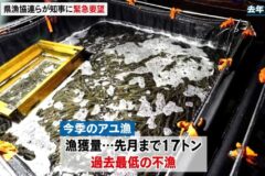 びわ湖のアユ漁獲量が過去最低