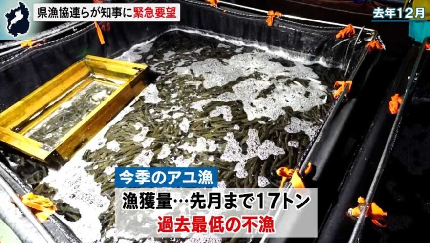 びわ湖のアユ漁獲量が過去最低