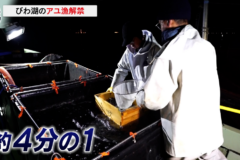 びわ湖のアユ漁が解禁！