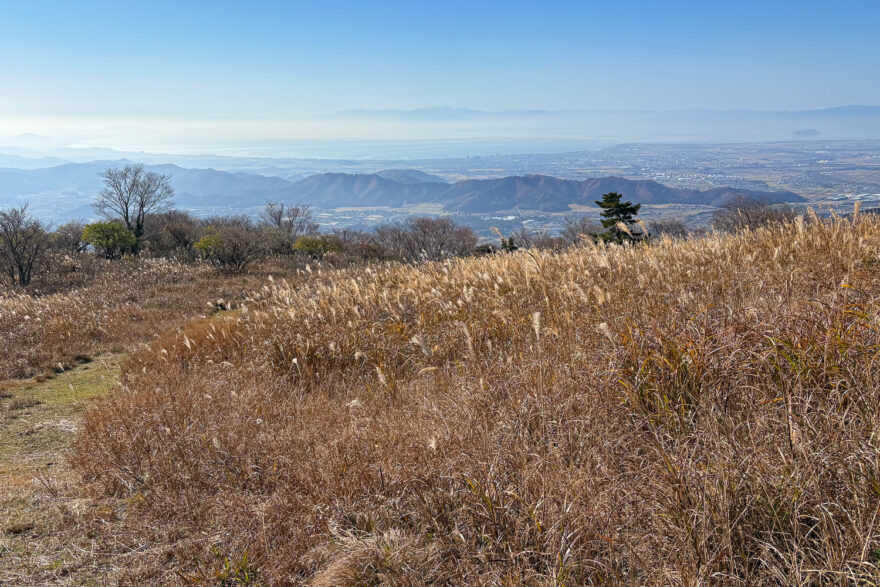 伊吹山で茅刈り体験
