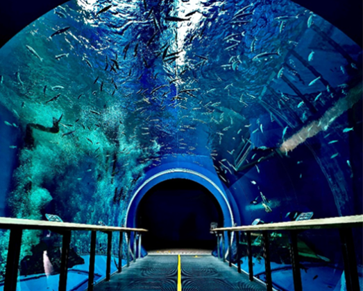 琵琶湖博物館！ナイトミュージアム開催！